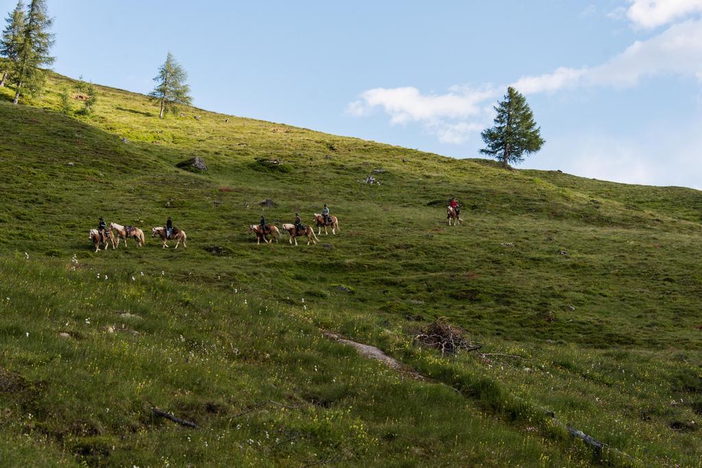 Landhaus Alpenrose - Feriendomizile Pichler Heiligenblut Exteriér fotografie